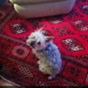 Meet your Posher, Judith